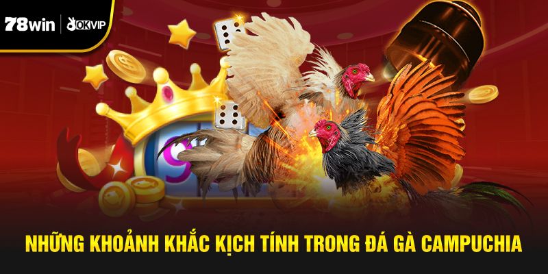 Những khoảnh khắc kịch tính trong đá gà Campuchia